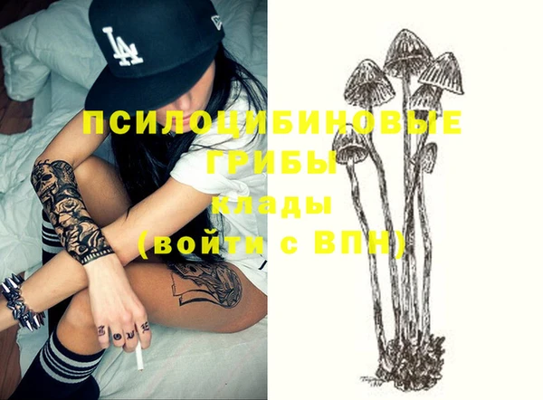прущая мука Белокуриха